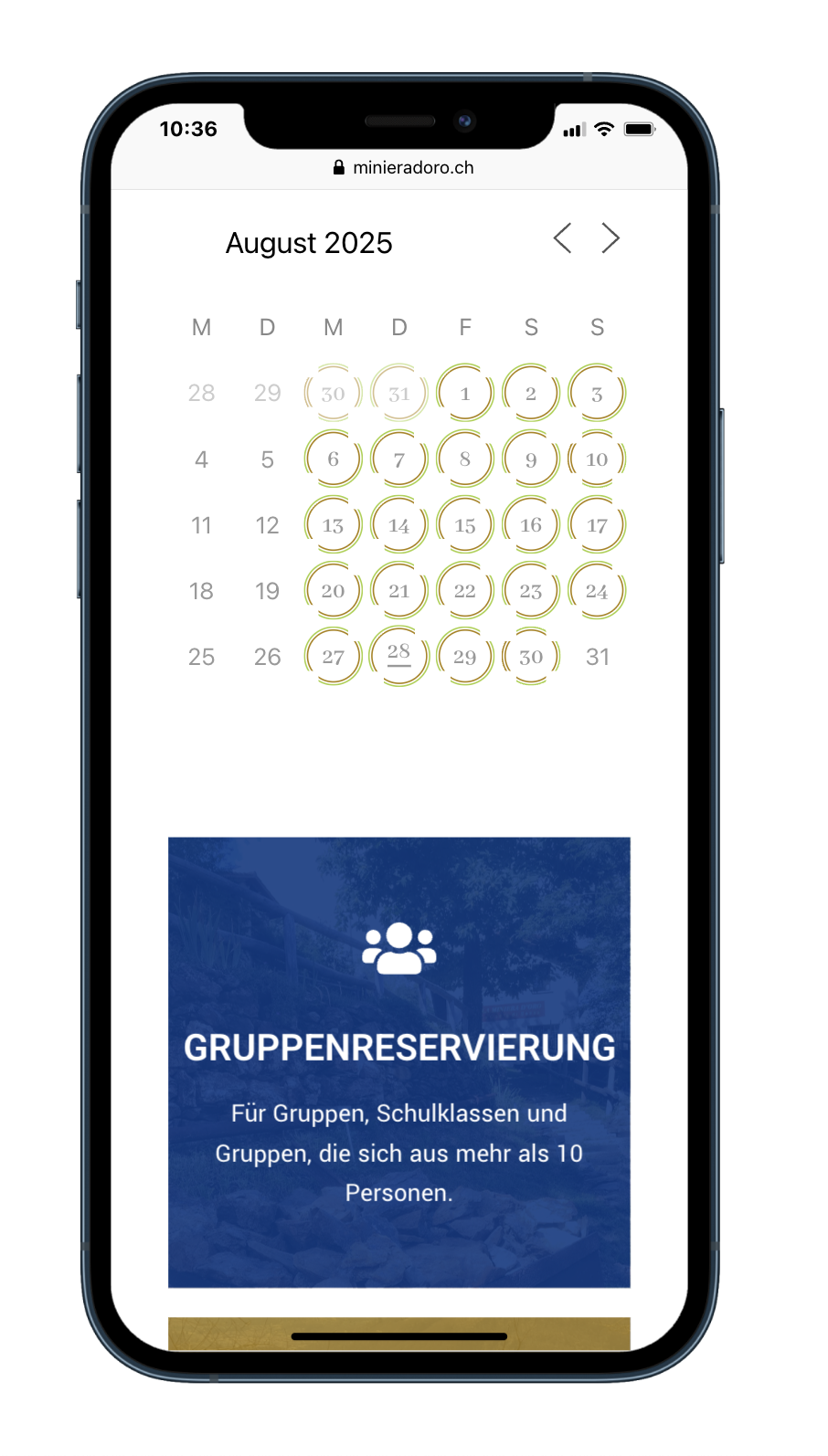 Screenshot 2025-08-28 alle 10.36.59