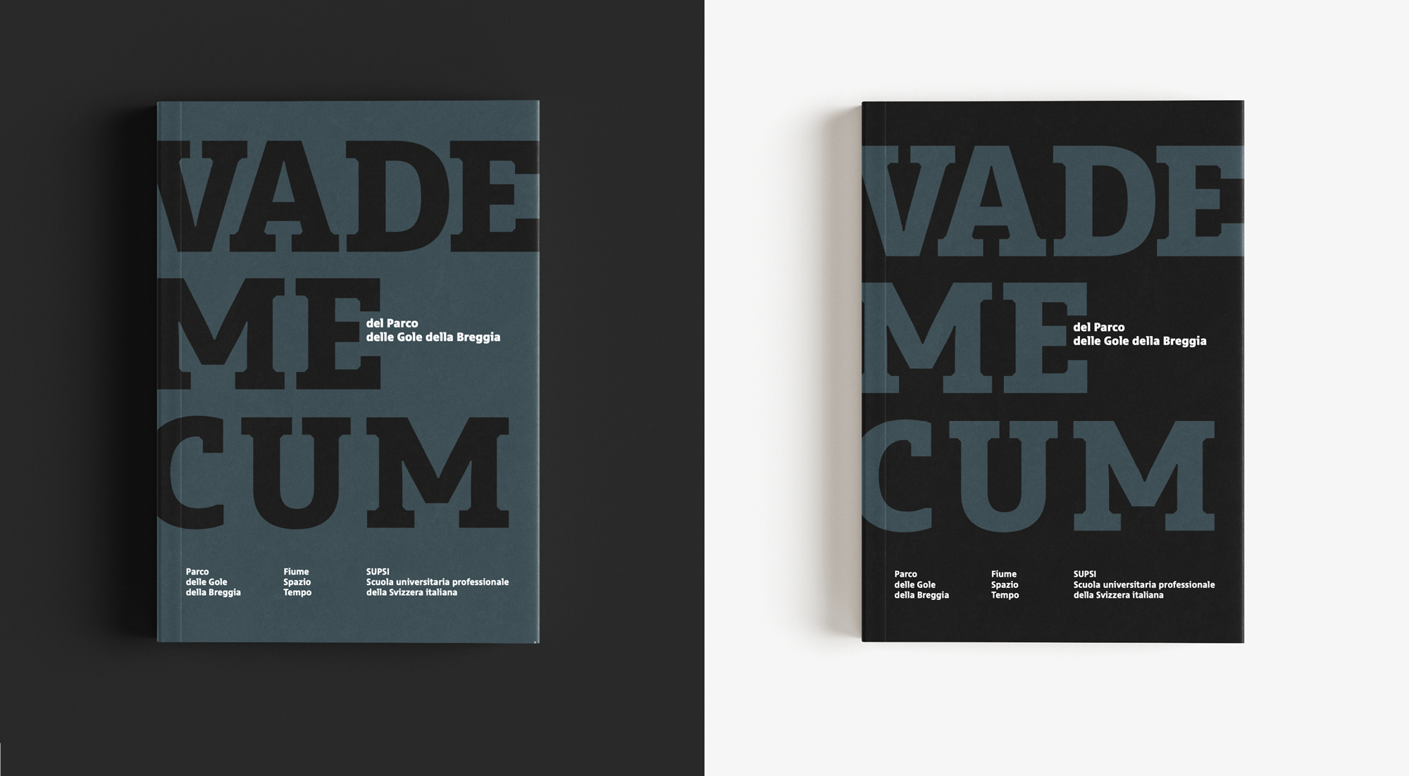 vademecum-copertina